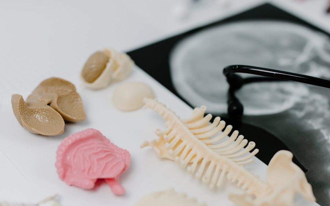 Mengenal Sistem Ekskresi Manusia dan Fungsinya